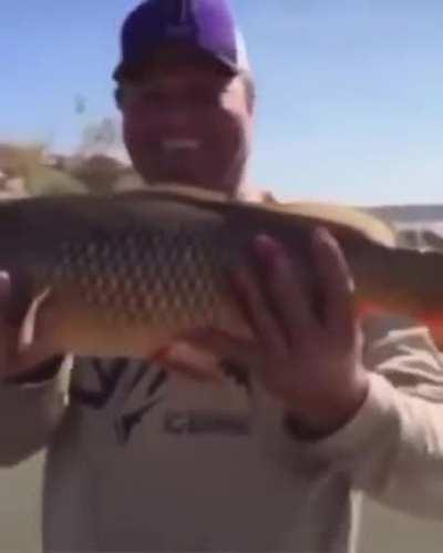 Creation Of The World. Day 6 (Gen 1:24-25) Colourised