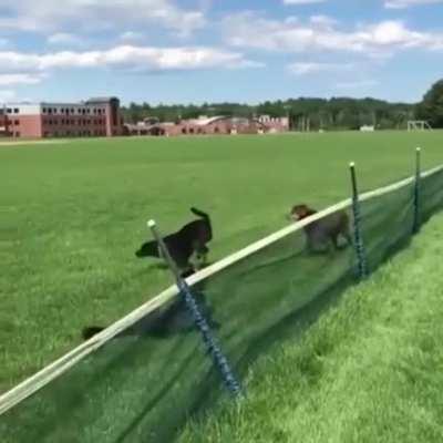 HMK as I jump the net!