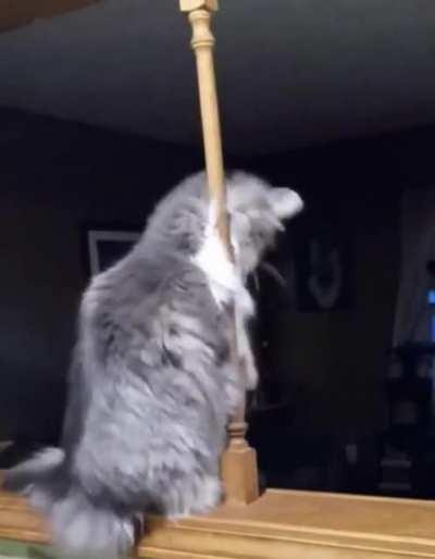 I present this pole dance