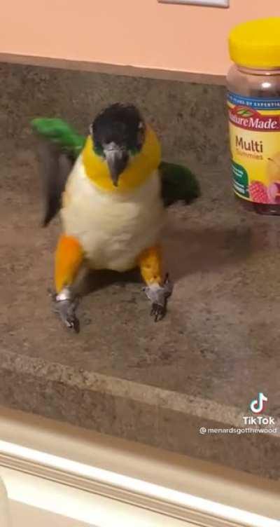 Not my parrot, but he’s definitely got the party (credit: @menardsgotthewood on tiktok)