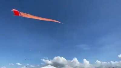 3 year old girl holding on for dear life