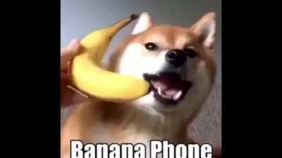 banana doge