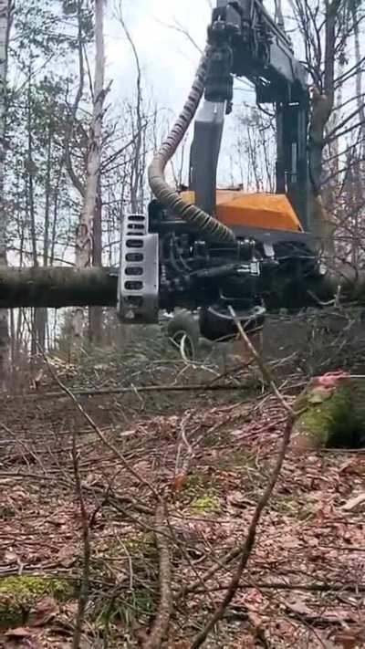Automatic Logger