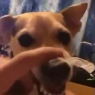 Achei fofinho e gostaria de compartilhar