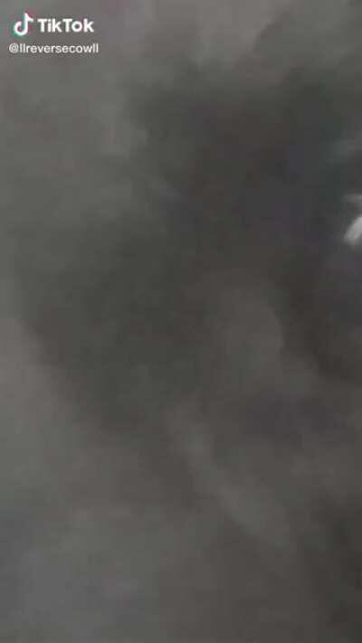 Dog with ransom original clip