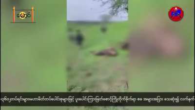 [Myanmar/Burma] Paungde PDF Battalion-3601 ambushing a junta column in Pyay District, Bago Region, killing at least 11. (June 3-6)