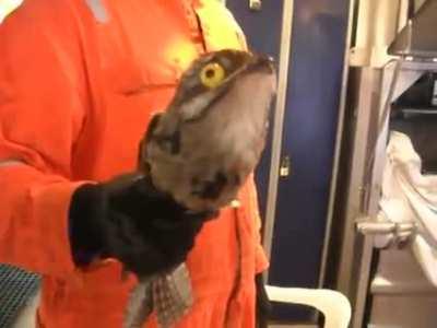 Friend sent this to me. Is this even real?