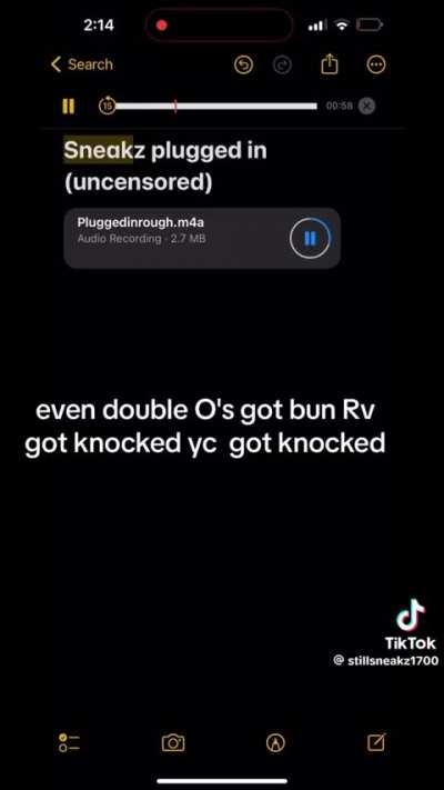 Sneakz Plugged In (Uncensored)