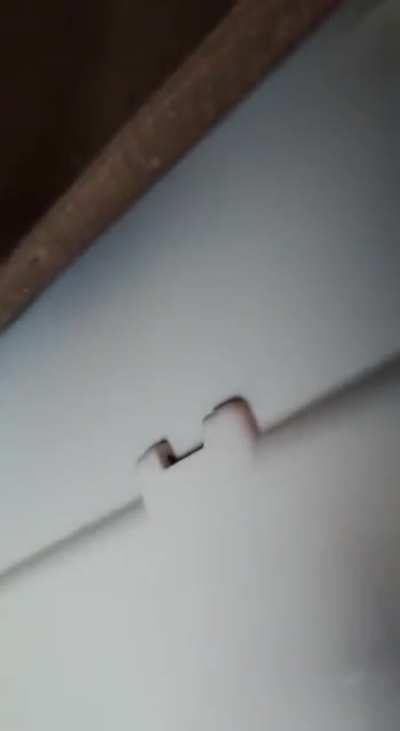 People getting shot by Russians while driving