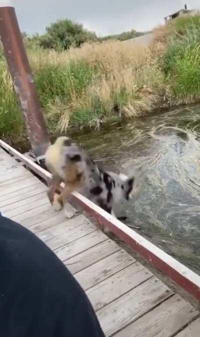 That’s not the ground