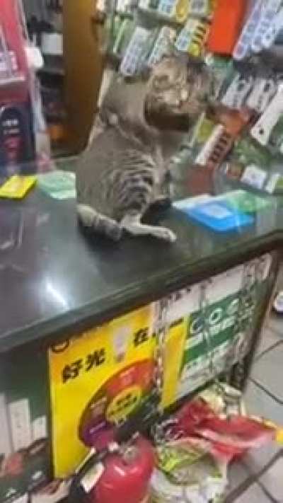 no comment😾💯❣️