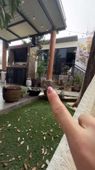 𝓩𝓮𝓵𝓮𝓷𝓷𝔂 𝓘𝓫𝓪𝓻𝓻𝓪