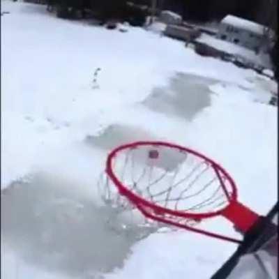 White album boxing be like