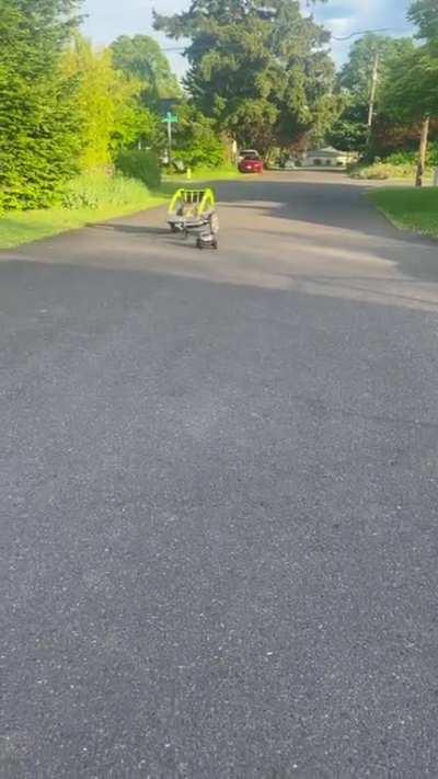 How to pull a stroller