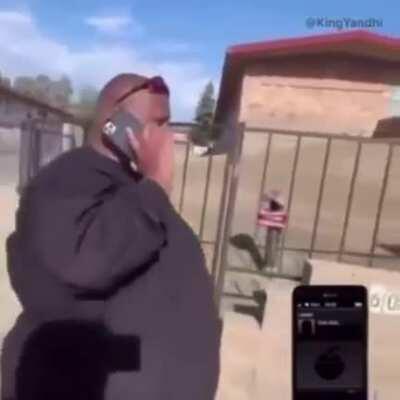 Lester always takes ages to pick up the phone.