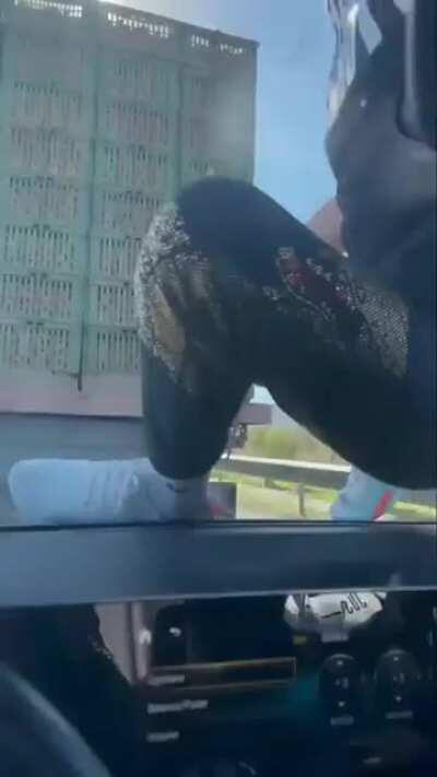 Stealing tangerine from a moving truck!