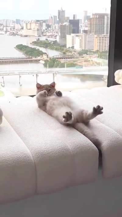 After a hard day’s work of being so adorable