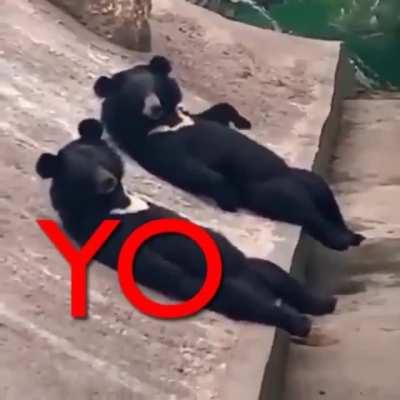 Just 3 chill bros staring at each other