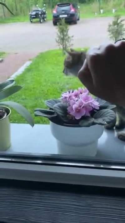 Interrupted while catculating