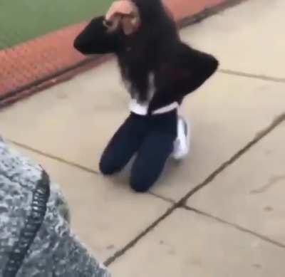 Bully beat up a girl