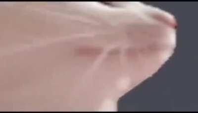 Discord cat Strikes again