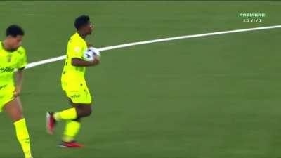 Botafogo 3 - [1] Palmeiras - Endrick 49' (Belo Gol)