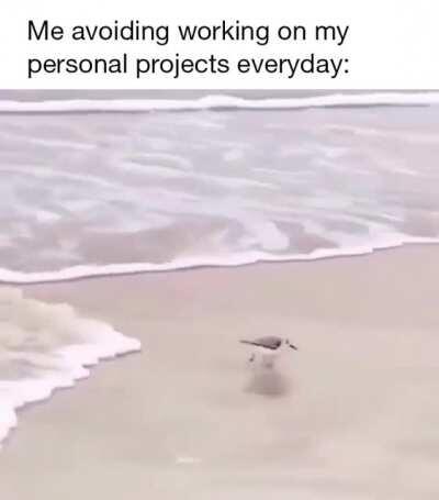 Procrastination is life