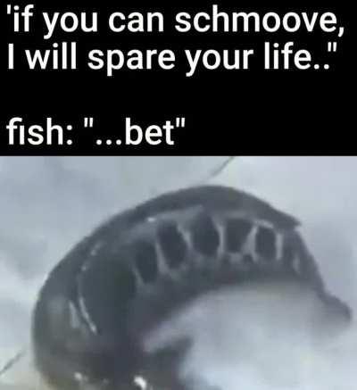 bet 😏🐟