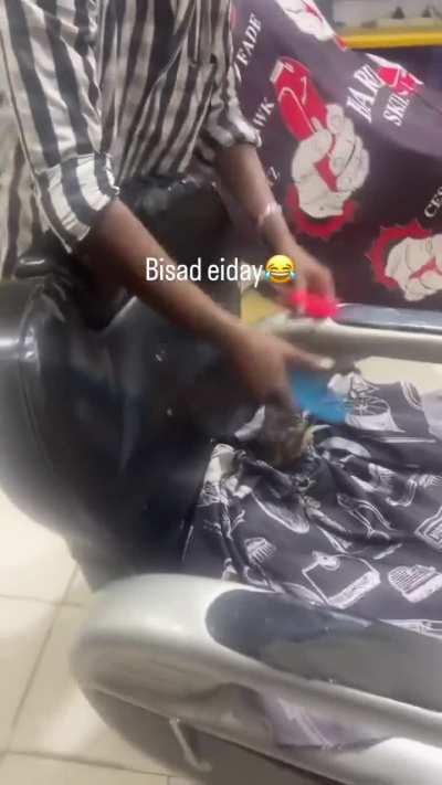 Cat gets a trim for Eid