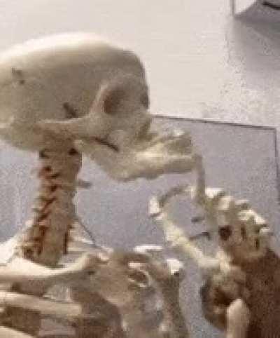 Say the last sentence you said and add 