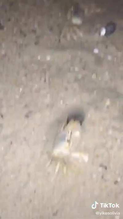 Why does he have a handful of sand?