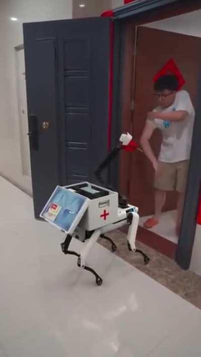 The not too distant future - Booster bots