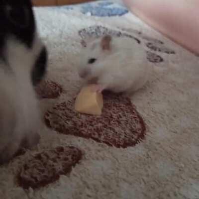 Кто больше тот сильнее.