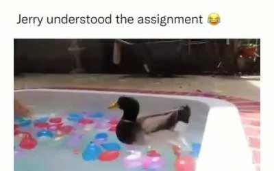 Jerry doesn't need your compliment