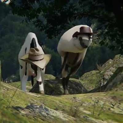 QUE ES ESTO jajaja (el q se pelee en el chat por esto es re gay solo es un meme pubertos culiaos asi como subi un meme de boric tambien puedo subir uno de kast asi que no se pelien aweonaos)