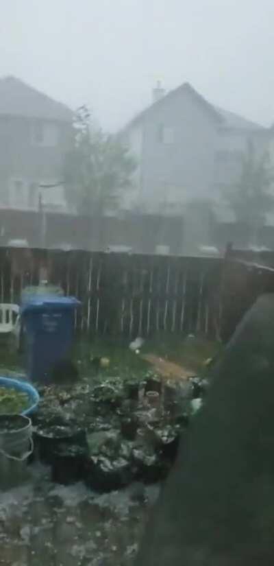 First year gardner watches as garden goes to hail.