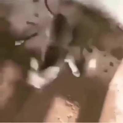 I'm 15 and this is yeet