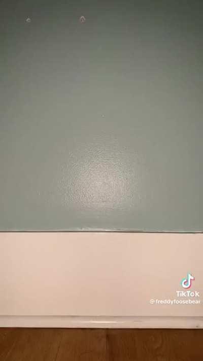 @freddyfoosebear on TikTok