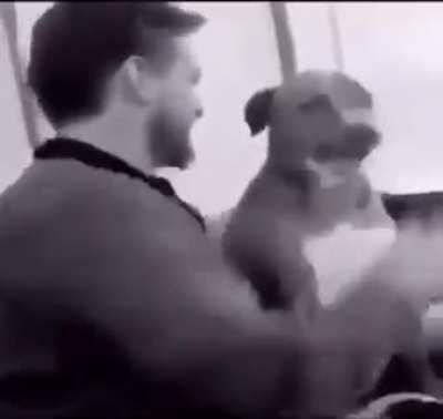 Don't underestimate animals! instant karma