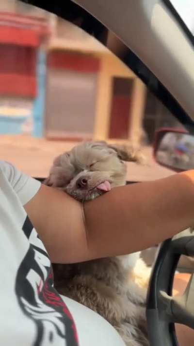 Have you seen a sleeping position like this? 😂❤️