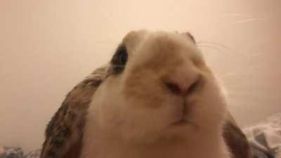 Munch munch view 😂✨