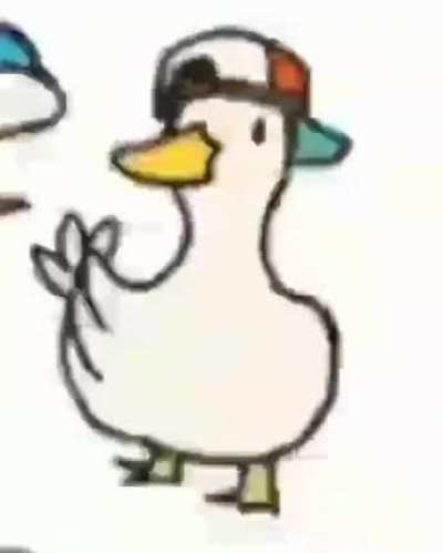 swag duck 😘🦆