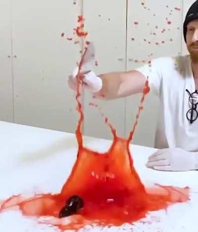 Early Halloween present