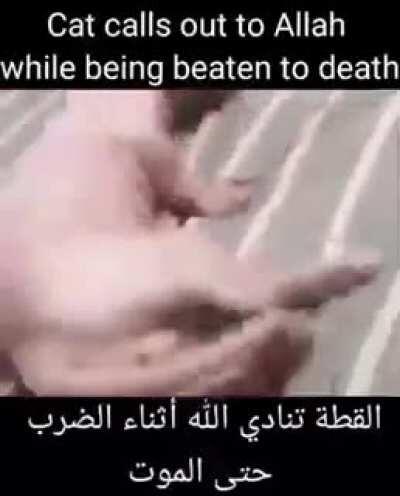 FRICK BINGUS!11!!!1 🤬🤬🤬🤬🤬😤😤