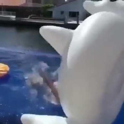 Rumor has it there is a swan in this GIF...I don’t see it