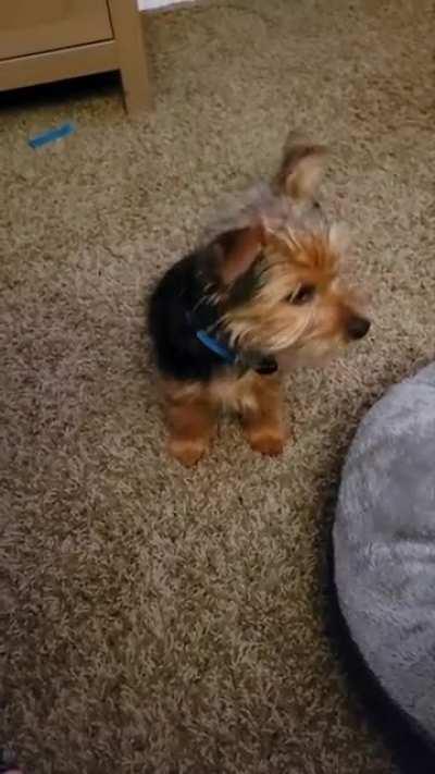 Walter going for the monch