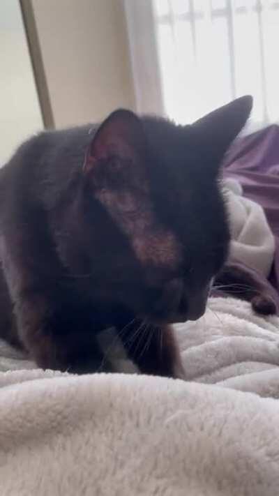 This little baker is super kneady (pun intended)