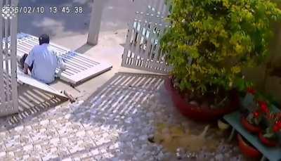 Dumb Thief breaks leg