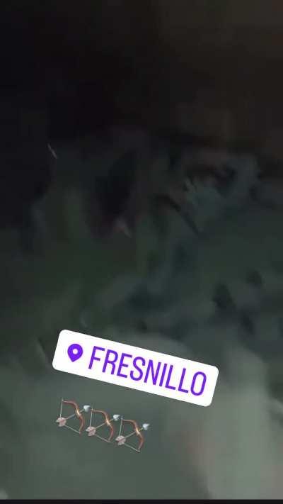 Apparently Operativa Mz has captured 7 captured CJNG members in Zacatecas