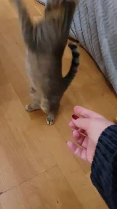 Wait, no treats? Byeeeee